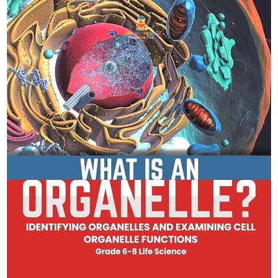 预订 What is an Organelle? Identifying Organelles and Examining Cell Organelle Functions Grade 6-8 Life Science: 9781541