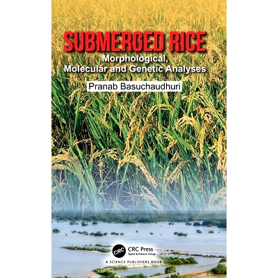 预订 Submerged Rice: Morphological, Molecular and Genetic Analyses