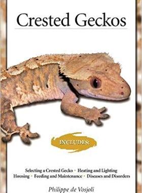 【预售】Crested Geckos