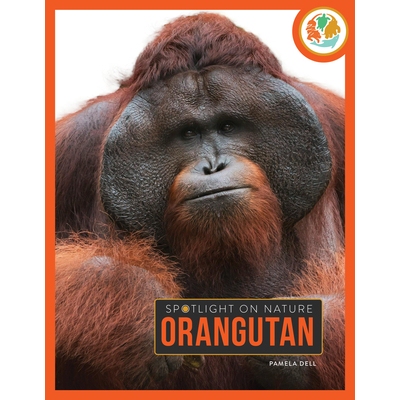 预订 Orangutan 9798889896265