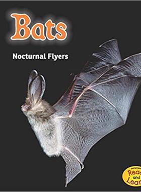 【预售】Bats: Nocturnal Flyers