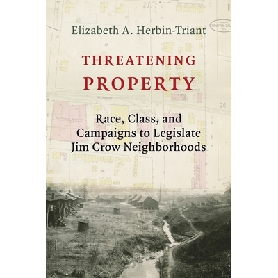 Race, Class, and Campaigns to Legislate