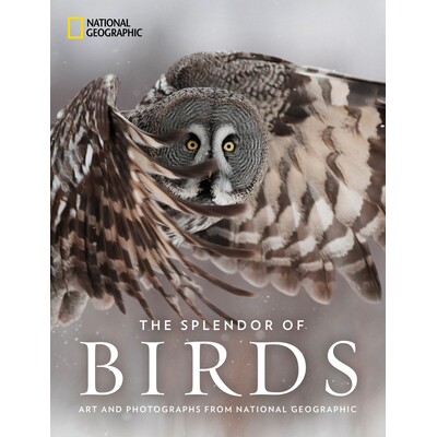 预订 鸟类的辉煌:国家地理的艺术与摄影 自然 动物 鸟类 英文 The Splendor of Birds: Art and Photography From National Geogr