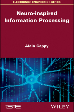 【预订】Neuro-Inspired Information Processing