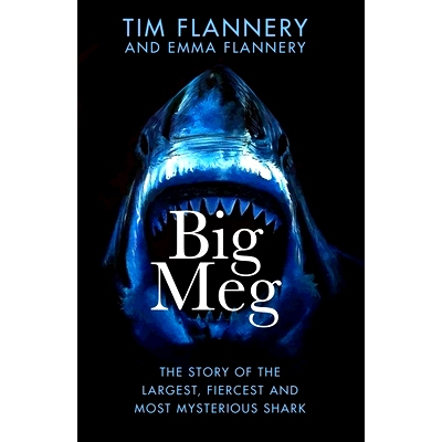 预订 Big Meg: The Story of the Largest, Fiercest and Most Mysterious Shark: 9780857529534