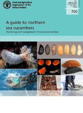 预订 A Guide to Northern Sea Cucumbers