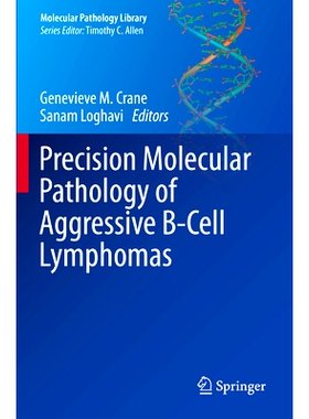 预订 Precision Molecular Pathology of Aggressive B-Cell Lymphomas 侵袭性 B 细胞淋巴瘤的*分子病理学: 9783031468445