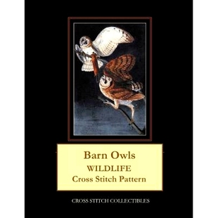 Wildlife Owls Cross Stitch 9781090163943 预订 Pattern Barn