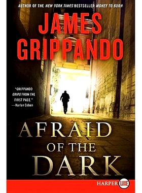 预订 Afraid of the Dark: A Novel of Suspense: 9780062017970
