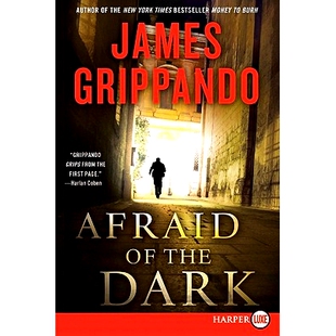 预订 Afraid of the Dark: A Novel of Suspense: 9780062017970