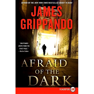 预订 Afraid of the Dark: A Novel of Suspense: 9780062017970