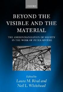 预订 and Beyond Visible Material the