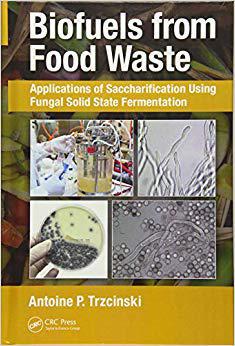 【预售】Biofuels from Food Waste