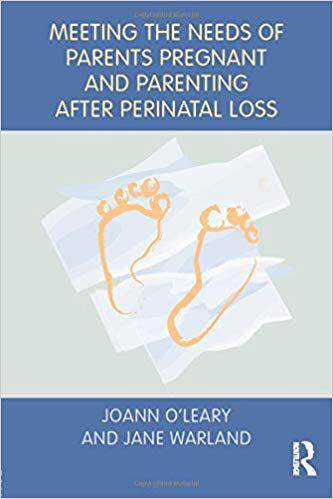【预售】Meeting the Needs of Parents Pregnant and Parenting After Perinatal Loss