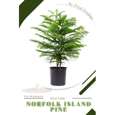 预订 Norfolk Island Pine: Prodigy Petal, Plant Guide 诺福克岛松：神童花瓣，植物指南: 9798386860837