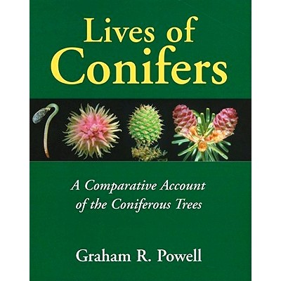 A Comparative Account of the Coniferous