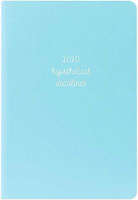 【预售】Light Blue 2020 Leatherette Planner