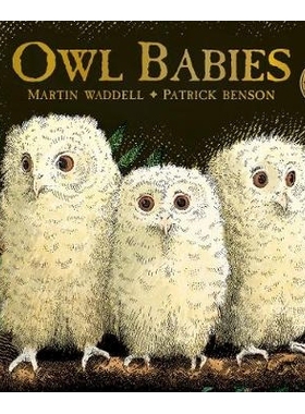 预订 Owl Babies 猫头鹰的婴儿: 9781406374377