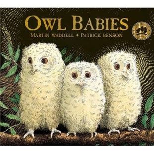 预订 Owl Babies 猫头鹰的婴儿: 9781406374377