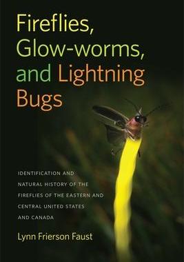 [预订]Fireflies, Glow-Worms, and Lightning Bugs 9780820348728