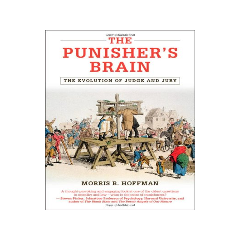 【预售】The Punisher's Brain: The Evolution of Judge and