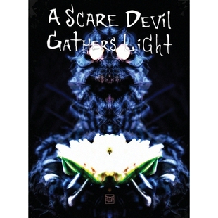 预订 A Scare Devil Gathers Light: 9781735283579