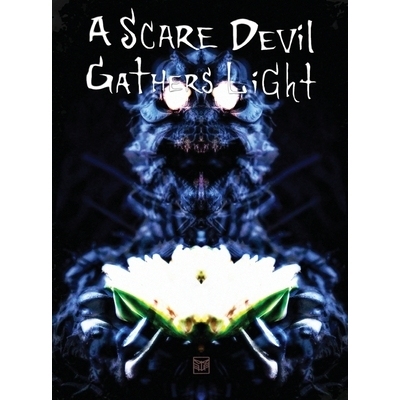 预订 A Scare Devil Gathers Light: 9781735283579