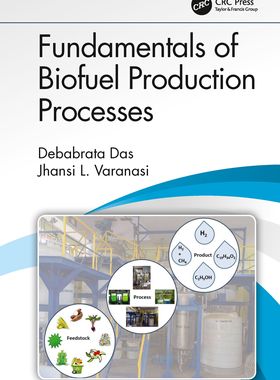 【预订】Fundamentals of Biofuel Production Processes 9780367779948