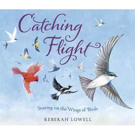 预订 Catching Flight: Soaring on the Wings of Birds 乘风破浪：乘着鸟儿的翅膀翱翔: 9780593487099