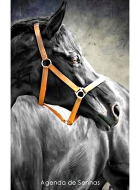 预订 Agenda de Senhas: Agenda Para Enderecos Eletronicos E Senhas: Capa Cavalo Preto - Portugues (Brasil): 9781542924696