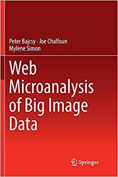 【预售】Web Microanalysis of Big Image Data