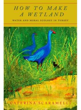 预订 How to Make a Wetland: Water and Moral Ecology in Turkey 如何造湿地：土耳其的水与道德生态: 9781503615403