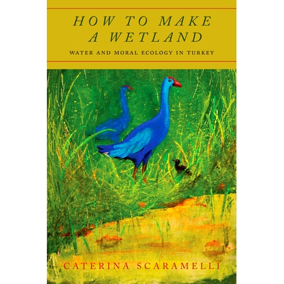 预订 How to Make a Wetland: Water and Moral Ecology in Turkey 如何造湿地：土耳其的水与道德生态: 9781503615403