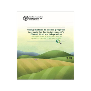 预订 Using Metrics to Assess Progress Towards the Paris Agreement’S Global Goal on Adaptation