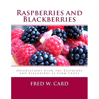 预订 Raspberries and Blackberries: Observations Upon the Raspberry and Blackberry as Farm Crops: 9781984200334