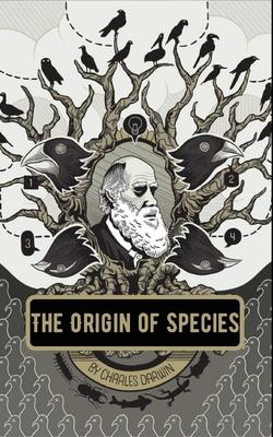 国外库房发货，通常付款后5-8周到货！