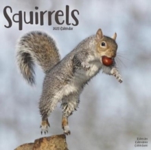 【预订】Squirrels 2023 Wall Calendar 9781839418204