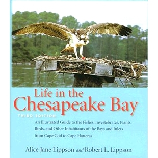 the Chesapeake Bay 预订 生活 切萨皮克湾 9780801883378 Life