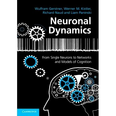 From Single Neurons to Networks and Mode