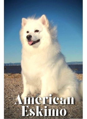 预订 American Eskimo: How to train your dog and raise from puppy correctly: 9798864725337