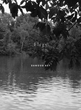 预订 Dawoud Bey: Elegy 达乌德·贝伊：挽歌: 9781597115643