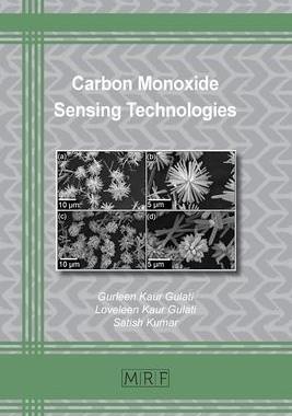 [预订]Carbon Monoxide Sensing Technologies 9781644901205