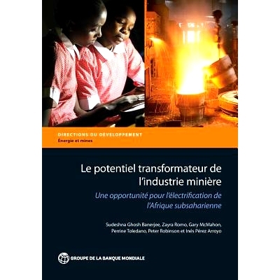预订 Le potentiel transformateur de l?industrie minière en Afrique: 9781464804861