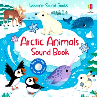 预订 Arctic Animals Sound Book: 9781805317760