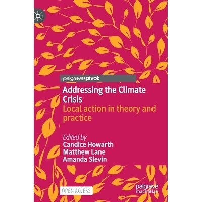 预订 Addressing the Climate Crisis: Local action in theory and practice 应对气候危机：局部行动的理论与实践: 978303079738