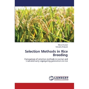 Selection Breeding Methods Rice 9783659397165 预订
