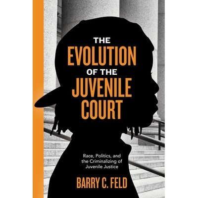 预订 The Evolution of the Juvenile Court: Race, Politics, and the Criminalizing of Juvenile Justice 少年法庭的演变：种族