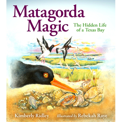 预订 Matagorda Magic: The Hidden Life of a Texas Bay 马塔哥达魔法: 9781648431319