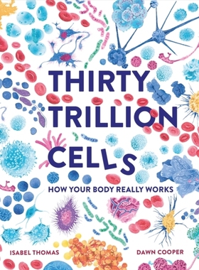 预订 Thirty Trillion Cells: How Your Body Really Works 30万亿个细胞:人体是如何运作的: 9781803380131