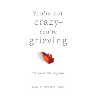 for You’re 预订 Surviving 你只是悲伤： Crazy—You’re 你没有疯 Not 9781617223228 Grieving Loss Steps